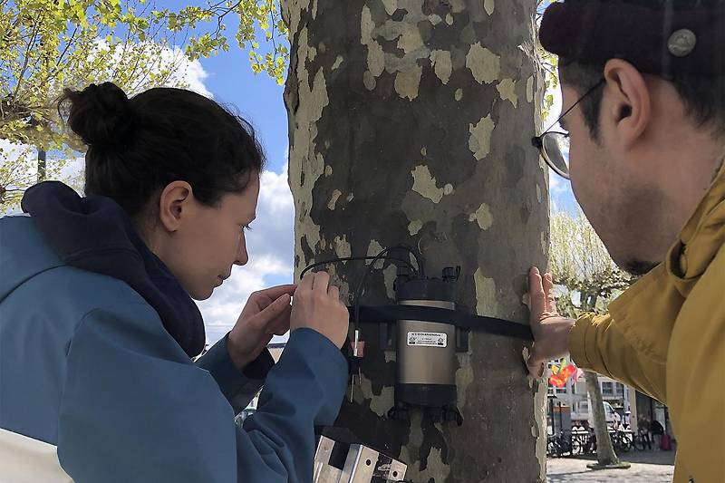 Bessere K&uuml;hlung 01